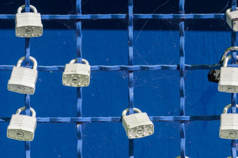 Secure Remote Service und Zero Trust Access